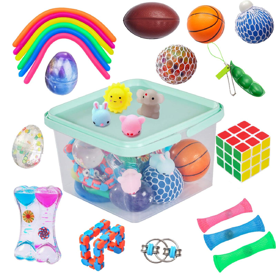 24 Pack Bundle Sensory Fidget Toys Set-Liquid Motion Timer/Grape Ball/Mochi Squishy/Stretchy String/Flippy Chain/Easter Egg/Marble Mesh/Squeeze Bean/Cube for Autistic Kids, ADHD, Anti-Stress Toys