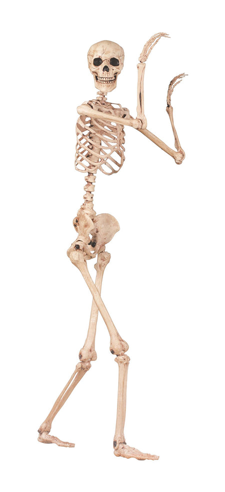 Crazy Bonez Pose-N-Stay Skeleton