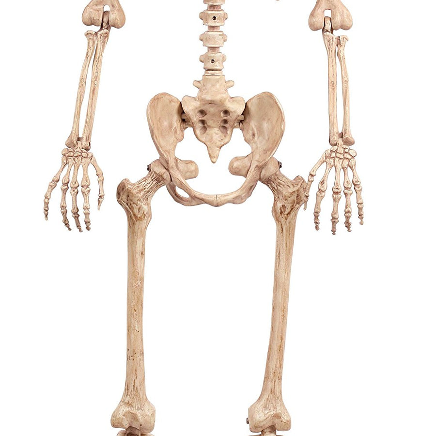 Crazy Bonez Pose-N-Stay Skeleton