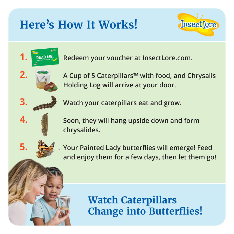 Insect Lore - Butterfly Growing Kit - With Voucher to Redeem Caterpillars Later