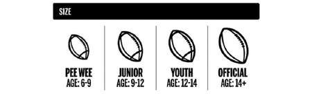 Wilson WTF1414PT NFL MVP Junior Football with Pump and Tee, Brown