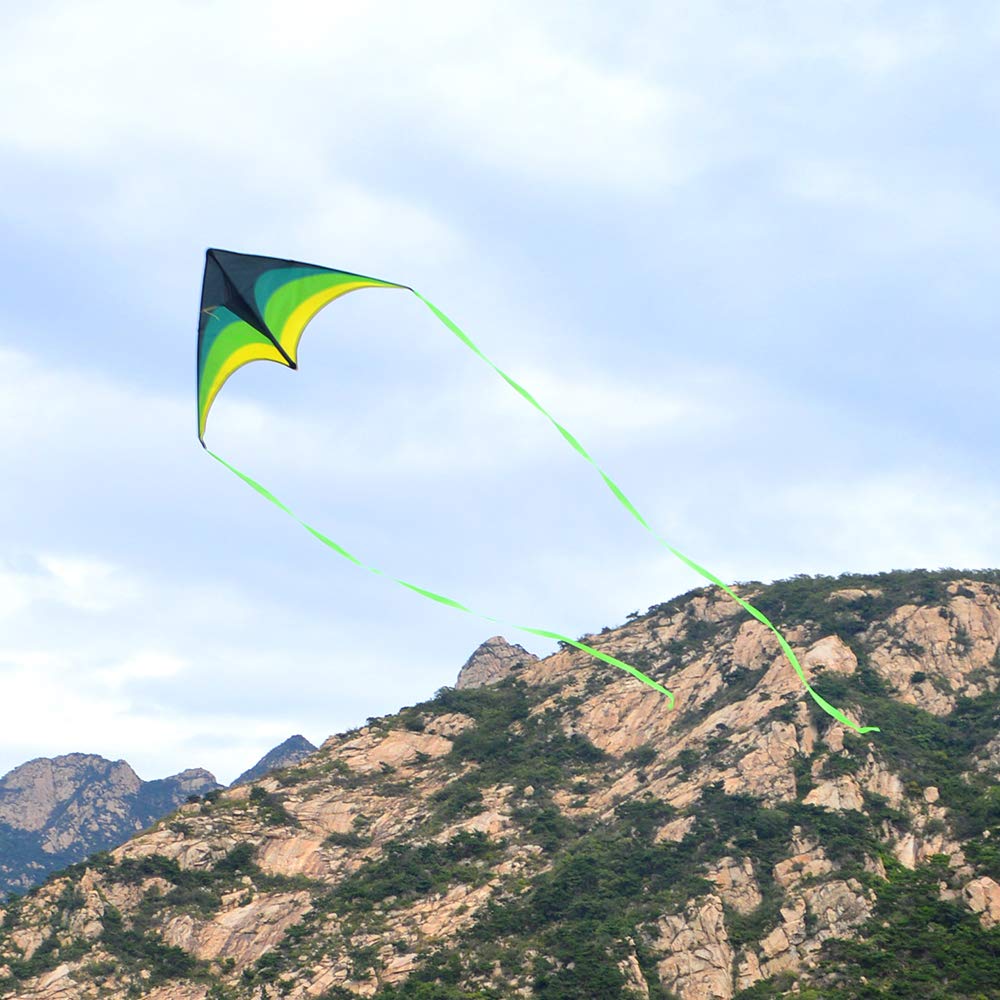 Mint's Colorful Life Delta Kite for Kids & Adults, Extremely Easy to Fly Kite with 2 Ribbons and 300ft Kite String, Best Kite for Beginner