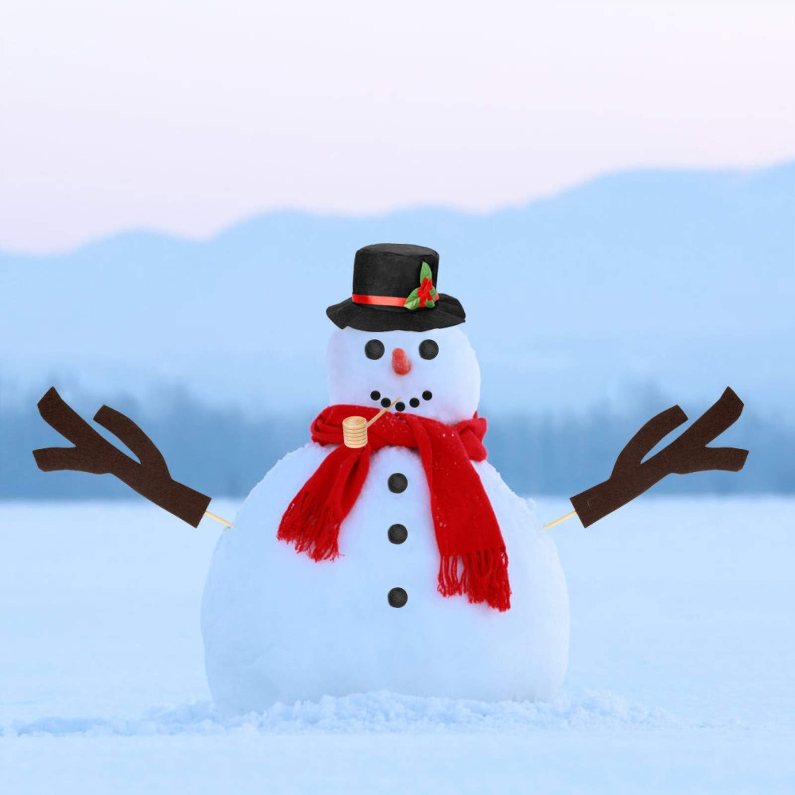 Colovis 16Pcs Snowman Decorating Kit, Snowman Making Kit Winter Party Kids Toys Christmas Holiday Decoration Gift