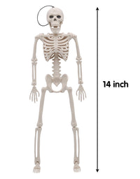 JOYIN 2 Packs 16" Posable Halloween Skeletons | Full Body Posable Joints Skeletons for Halloween Decoration, Graveyard Decorations, Haunted House Accessories
