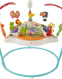 Fisher-Price Animal Activity Jumperoo, Blue, One Size
