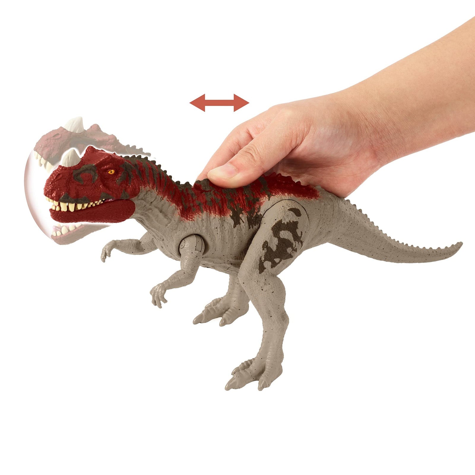 Jurassic World Roar Attack Ceratosaurus Camp Cretaceous Dinosaur Figure with Movable Joints, Realistic Sculpting, Strike Feature & Sounds, Carnivore, Kids Gift 4 Years & Up