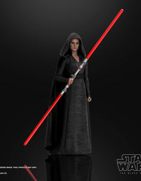 Star Wars The Black Series Rey (Dark Side Vision) Toy 6-Inch Scale Star Wars: The Rise of Skywalker Collectible Action Figure, Ages 4 and Up
