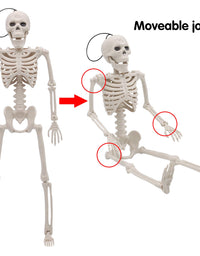 JOYIN 2 Packs 16" Posable Halloween Skeletons | Full Body Posable Joints Skeletons for Halloween Decoration, Graveyard Decorations, Haunted House Accessories
