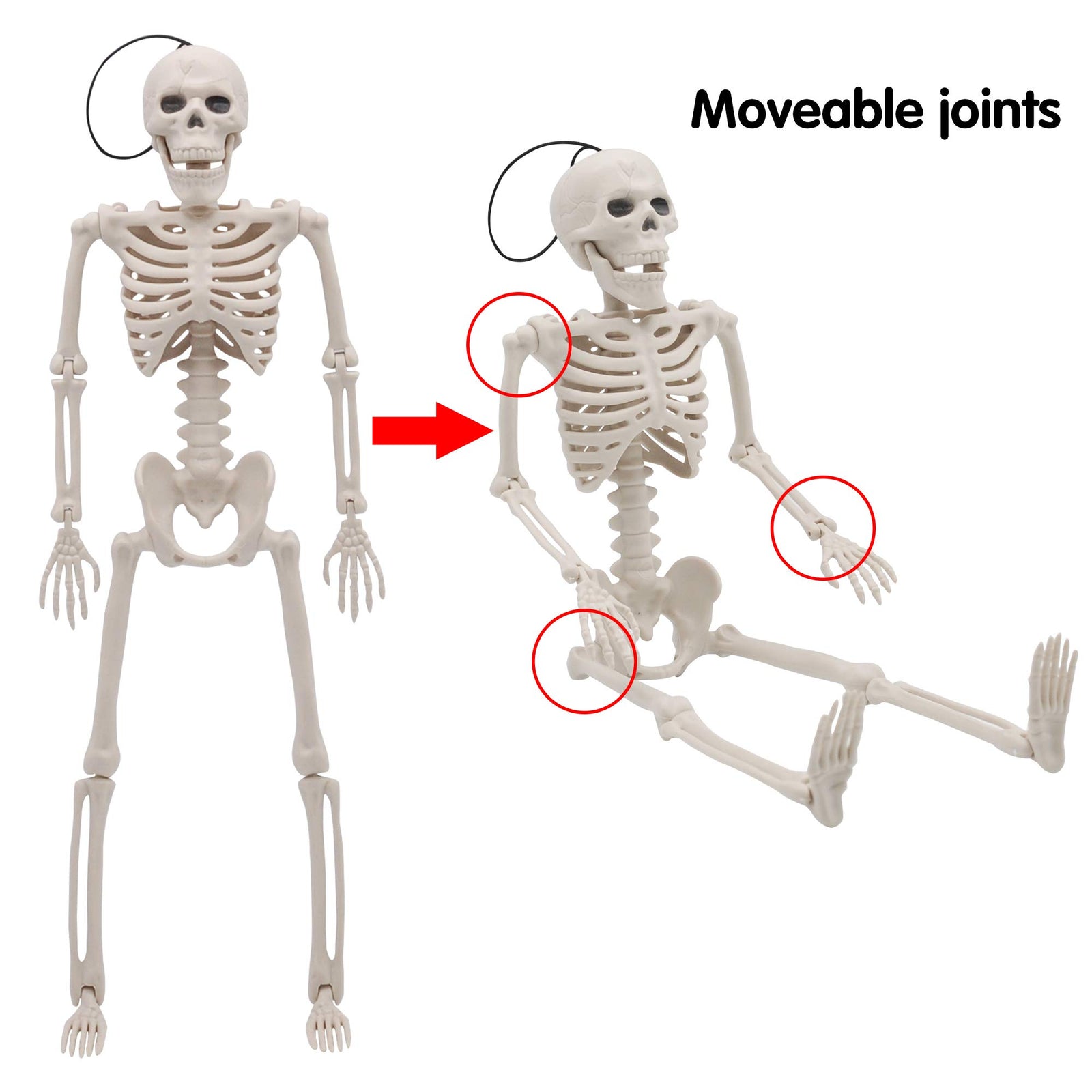 JOYIN 2 Packs 16" Posable Halloween Skeletons | Full Body Posable Joints Skeletons for Halloween Decoration, Graveyard Decorations, Haunted House Accessories