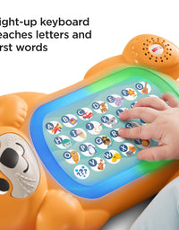 Fisher-Price Linkimals A to Z Otter - Interactive Educational Toy with Music & Lights for Baby Ages 9 Months & Up, Multicolor
