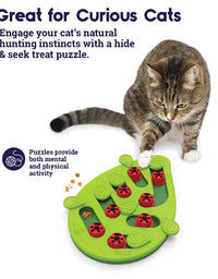 Petstages Interactive Cat Puzzles, Slow Feeders, and Treat Dispensing Toys
