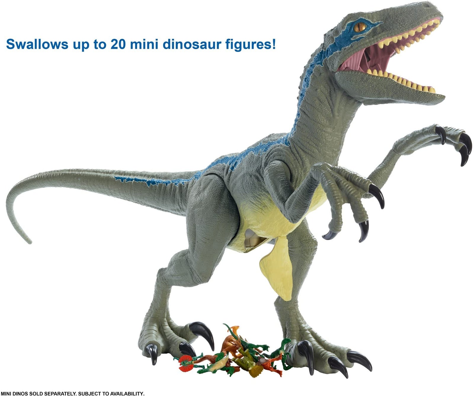 Jurassic World Super Colossal Velociraptor Blue 18” High & 3.5 Feet Long with Realistic Color, Articulated Arms & Legs, Swallows 20 Mini Action Figures [Amazon Exclusive]