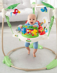 Fisher-Price Rainforest Jumperoo, 37x32x32 Inch (Pack of 1)
