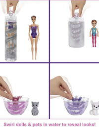 Barbie Color Reveal Surprise Party Set with 50+ Surprises: 1 Doll, 1 Chelsea Doll, 2 Pets, 6 Color-Change Activations, Accessories & More, Dance Party-Themed Set, Gift for Kids 3 Years Old & Up
