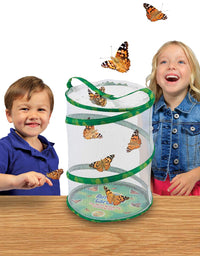 Insect Lore - Butterfly Growing Kit - With Voucher to Redeem Caterpillars Later

