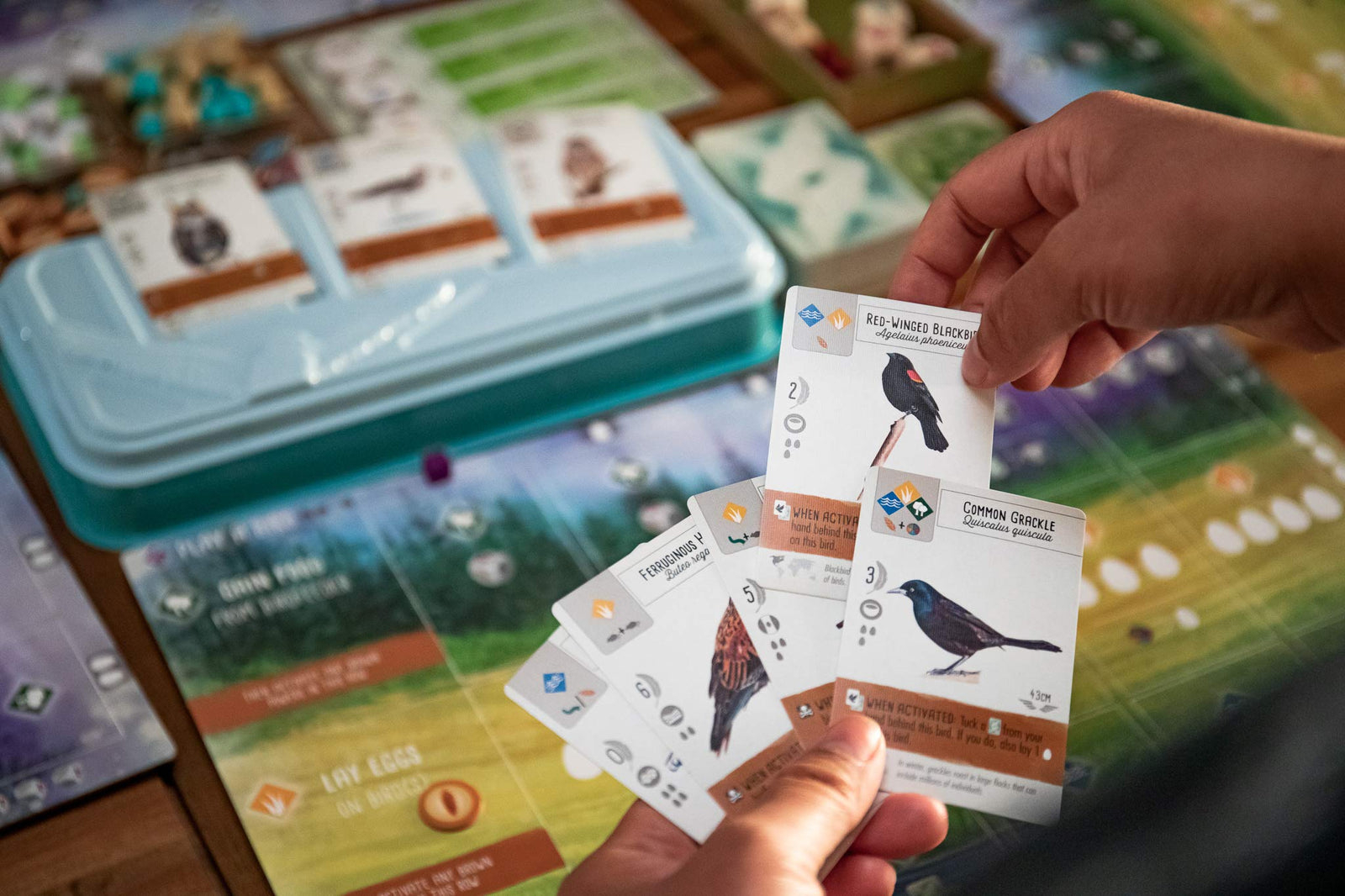 Wingspan Board Game - A Bird-Collection, Engine-Building Stonemaier Game for 1-5 Players, Ages 14+