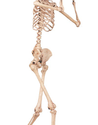 Crazy Bonez Pose-N-Stay Skeleton
