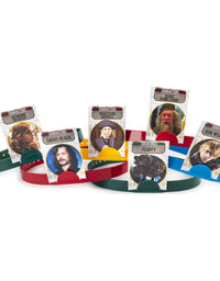 HedBanz Harry Potter Party Game for Kids
