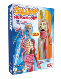 SmartLab Toys Squishy Human Body, Multicolor, Standard
