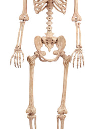 Crazy Bonez Pose-N-Stay Skeleton
