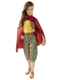 Disney Raya Warrior Costume Outfit with Cape for Girls Size 4-6X [Amazon Exclusive] Brown
