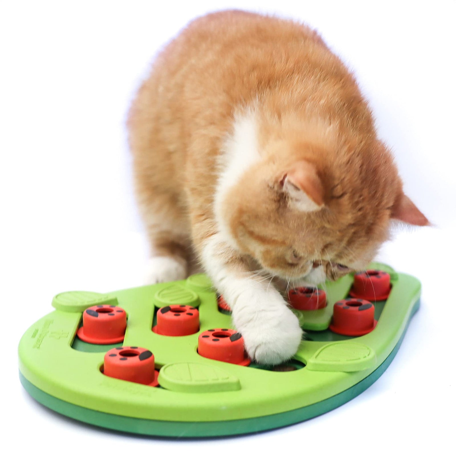 Petstages Interactive Cat Puzzles, Slow Feeders, and Treat Dispensing Toys