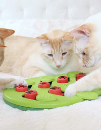 Petstages Interactive Cat Puzzles, Slow Feeders, and Treat Dispensing Toys
