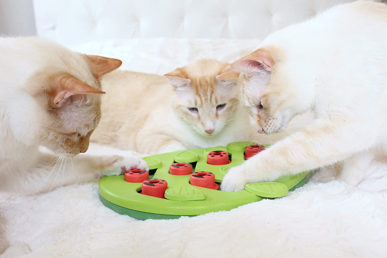 Petstages Interactive Cat Puzzles, Slow Feeders, and Treat Dispensing Toys