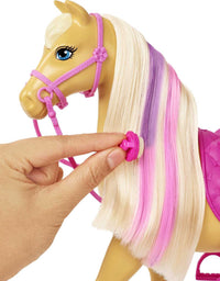 Barbie Groom 'n Care Horses Playset Doll (Blonde 11.5-in), 2 Horses & 20+ Grooming and Hairstyling Accessories, Gift for 3 to 7 Year Olds [Amazon Exclusive]
