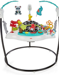 Fisher-Price Animal Wonders Jumperoo, White
