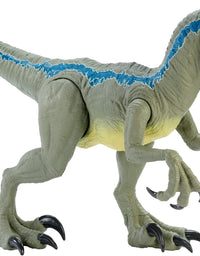 Jurassic World Super Colossal Velociraptor Blue 18” High & 3.5 Feet Long with Realistic Color, Articulated Arms & Legs, Swallows 20 Mini Action Figures [Amazon Exclusive]
