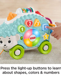 Fisher-Price Linkimals Happy Shapes Hedgehog - Interactive Educational Toy with Music and Lights for Baby Ages 9 Months & Up, Multi Color
