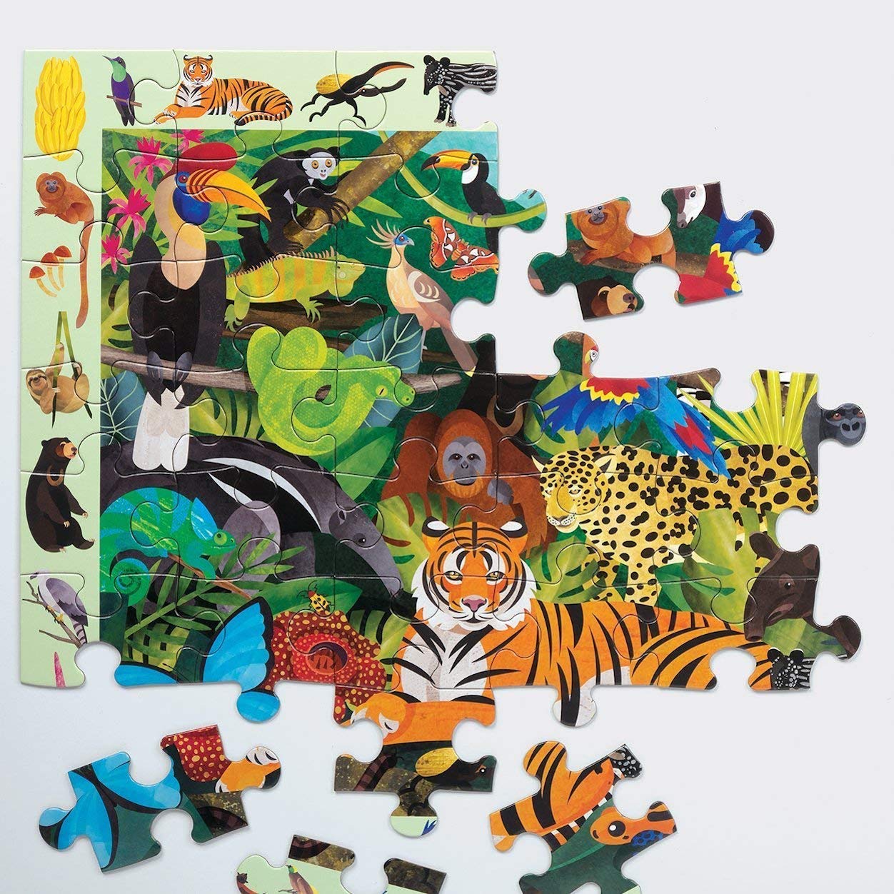 Rainforest Search & Find Puzzle