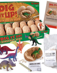 MindWare Dig It Up! Dinosaur eggs excavation kit
