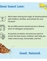 Insect Lore - Butterfly Growing Kit - With Voucher to Redeem Caterpillars Later
