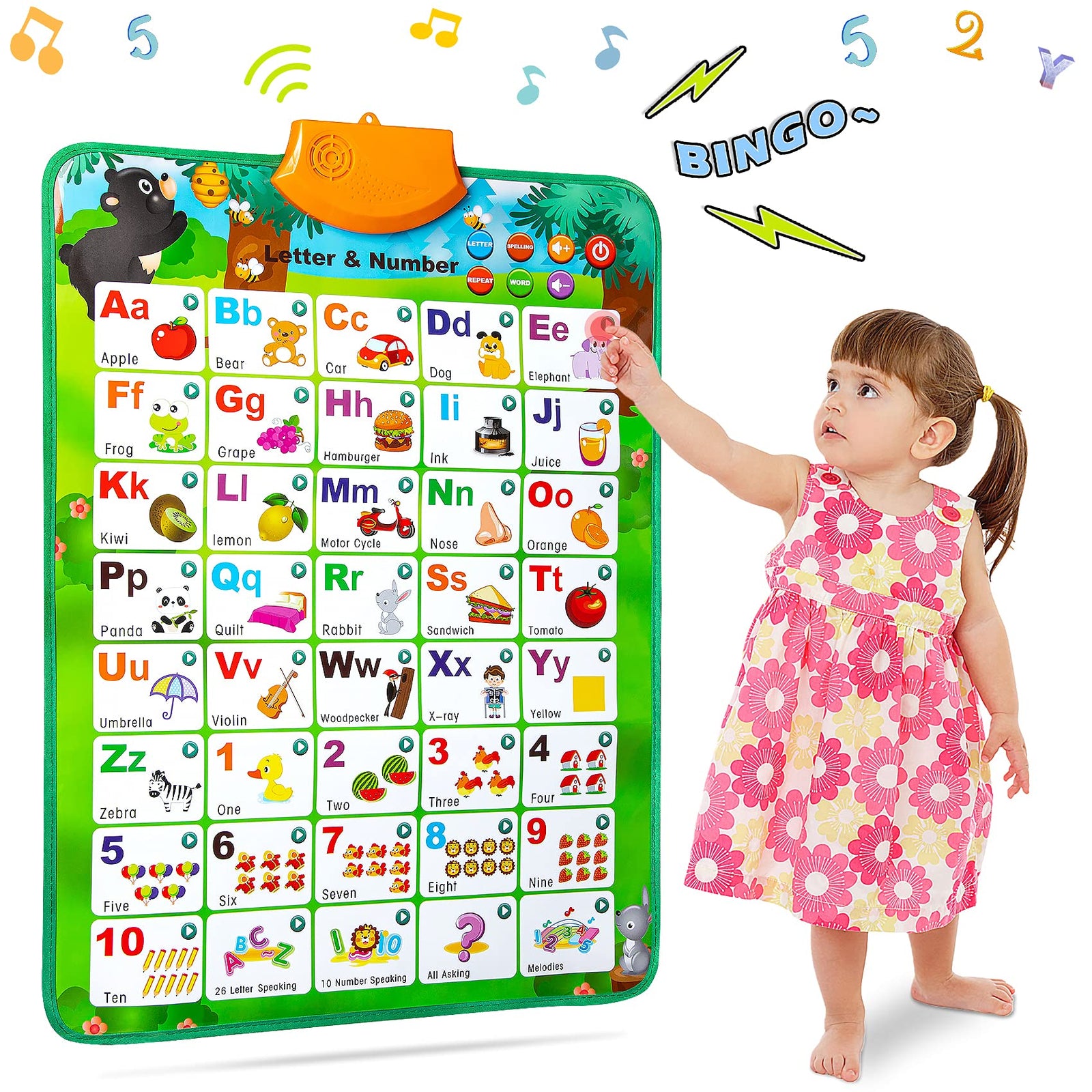 NARRIO Interactive Alphabet Wall Chart for Kids - Best Gifts