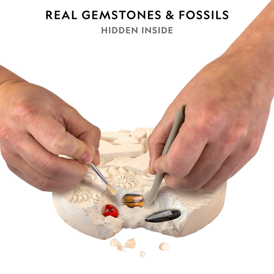 NATIONAL GEOGRAPHIC Mega Fossil and Gemstone Dig Kits - Excavate 20 Real Fossils and Gems, Great STEM Science Gift for Mineralogy and Geology Enthusiasts of Any Age