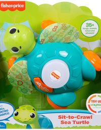 Fisher-Price Linkimals Sit-to-Crawl Sea Turtle, Light-up Musical Crawling Toy for Baby
