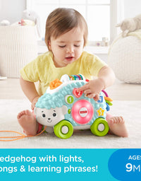 Fisher-Price Linkimals Happy Shapes Hedgehog - Interactive Educational Toy with Music and Lights for Baby Ages 9 Months & Up, Multi Color

