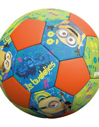 Hedstrom Paw Patrol Jr. Soccer Ball, 7 Inch (53-63884AZ)
