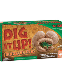 MindWare Dig It Up! Dinosaur eggs excavation kit

