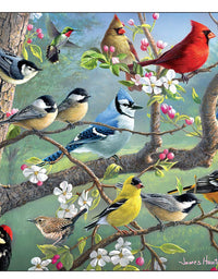 Buffalo Games - Hautman Brothers - Birds in an Orchard - 1000 Piece Jigsaw Puzzle
