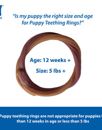 N-Bone 3-Rings Puppy Teething Ring, Chicken Flavor
