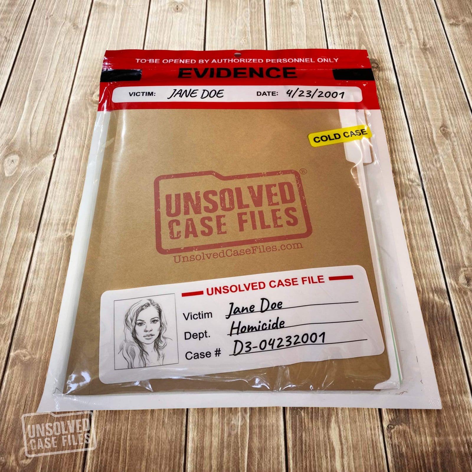 UNSOLVED CASE FILES | Doe, Jane - Cold Case Murder Mystery Game - Can You Solve The Crime? Who Killed Jane Doe?
