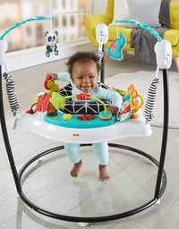 Fisher-Price Animal Wonders Jumperoo, White
