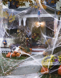 900 sqft Spider Webs Halloween Decorations Bonus with 30 Fake Spiders, Super Stretch Cobwebs for Halloween Indoor and Outdoor Party Supplies
