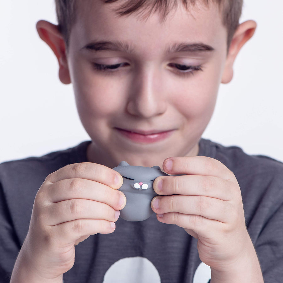 Nutty Toys Squishy Cat Set - 2 Soft Silicone Kawaii Kitties, Top Stress Relief Sensory Gift 2021, Unique Kids & Adults Christmas Stocking Stuffer Idea, Best Teenage Girl, Teen Boy & Tweens Present