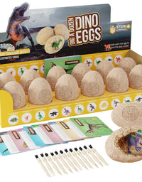 Dig a Dozen Dino Egg Dig Kit - Easter Egg Dinosaur Toys for Kids - Dig up 12 Eggs & Discover Surprise Dinosaurs. Science STEM Activities - Educational Gifts for Boys & Girls Age 3-5 5-7 8-12 Year Old
