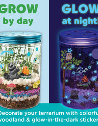 Creativity for Kids Grow 'N Glow Terrarium Kit for Kids - Science Activities for Kids (Packaging May Vary) , Beige
