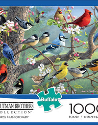 Buffalo Games - Hautman Brothers - Birds in an Orchard - 1000 Piece Jigsaw Puzzle
